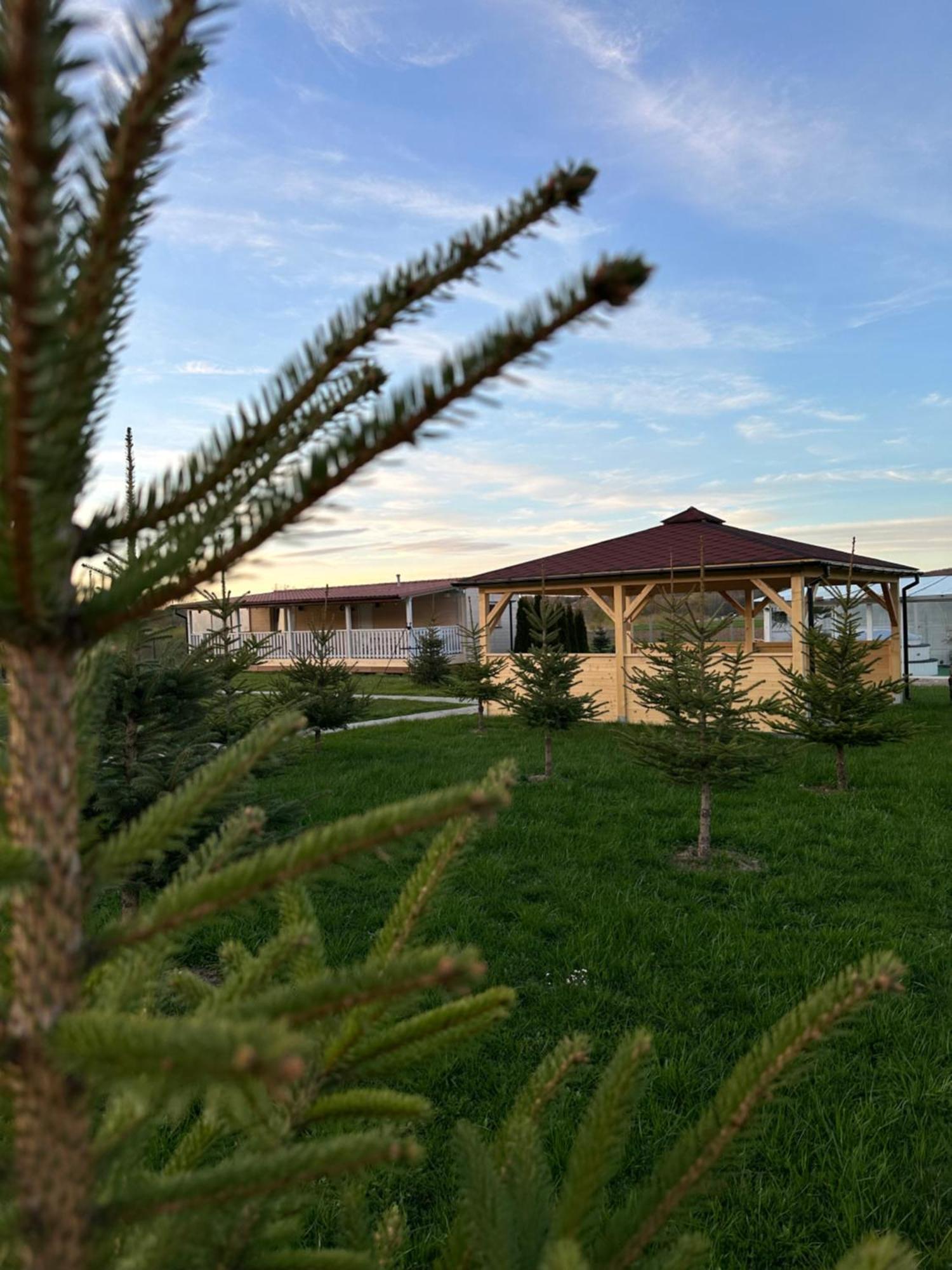 Domki Nad Sanem Bachórzec Dubiecko Exterior foto