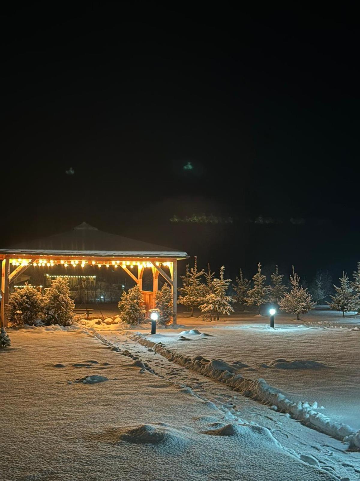 Domki Nad Sanem Bachórzec Dubiecko Exterior foto